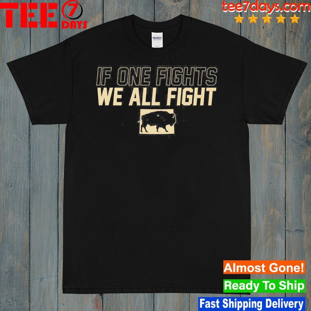 If One Fights We All Fight 2024 Shirt